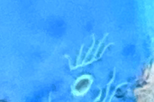 Luke Fitzpatrick Plays Pączkowski at Wayward Music Series